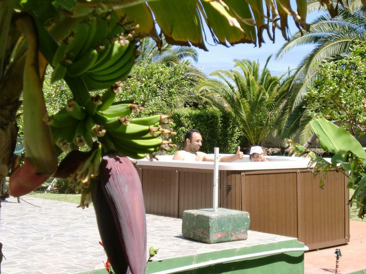 Finca La Gaviota - Los Limoneros 이코드레로스비노스 외부 사진